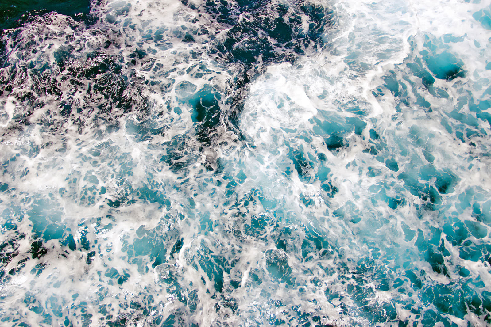 Turning the Tides of the Climate Talent Ecosystem, as Sea Change Advisors